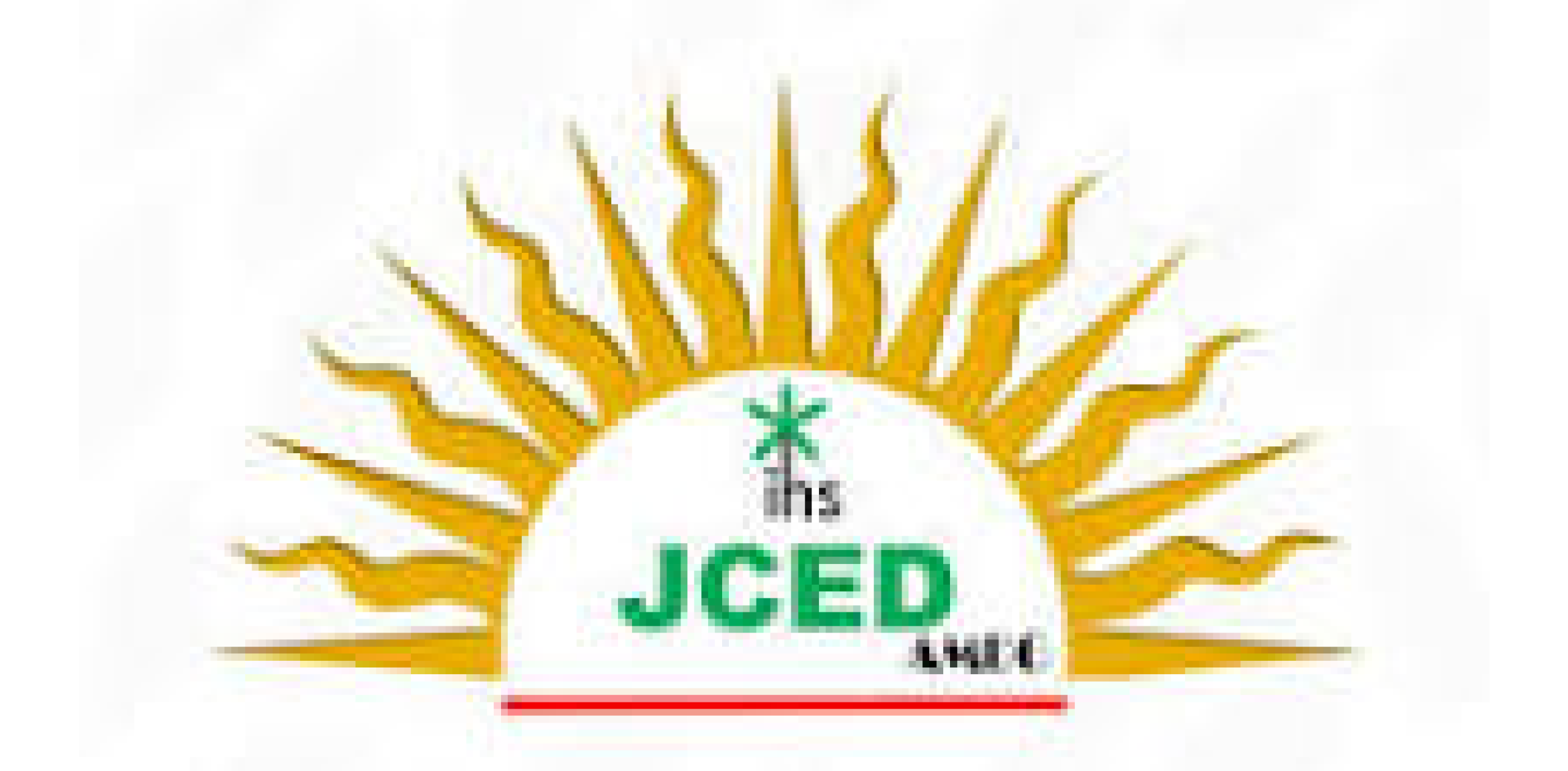 jced-malawi microinsurance malawi logo